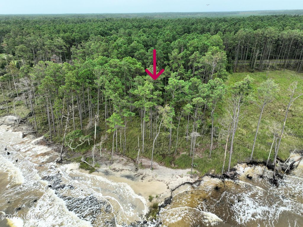 Photo of 133 Bluefin Court, Beaufort, NC 28516 (MLS # 100573772)