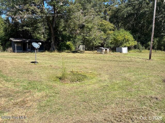 Photo of 293 Sunshine Road, Blackville, SC 29817 (MLS # 100611124)