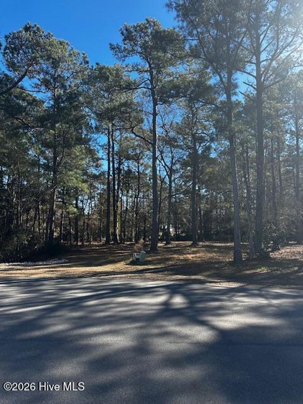 Photo of 137 Eagle Court SW, Supply, NC 28462 (MLS # 100551029)