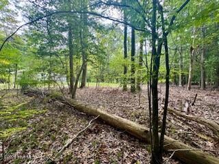 Photo of 505153 Chestnut &amp; Teak Street, Hertford, NC 27944 (MLS # 100606478)
