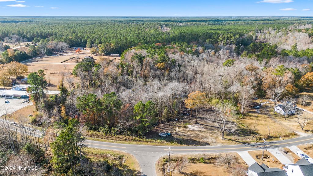 Photo of 1219 Lanvale Road NE, Leland, NC 28451 (MLS # 100550524)