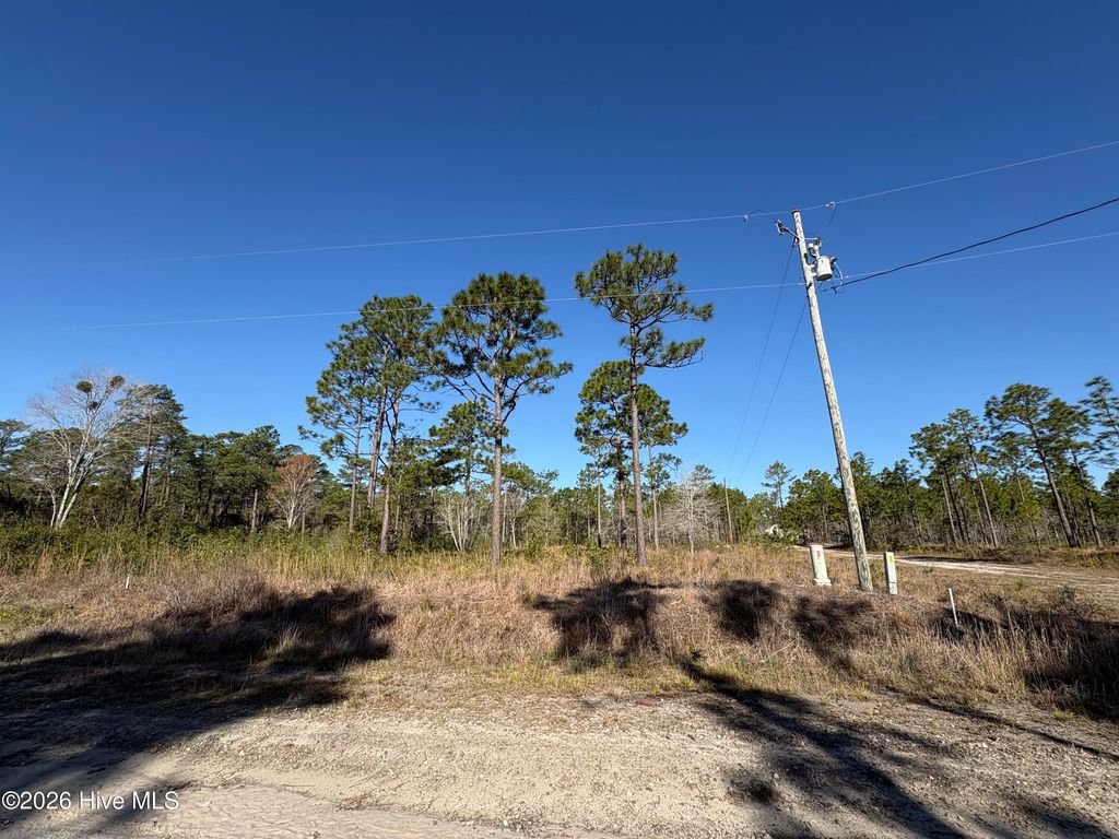 Photo of 660 Virginia Drive, Boiling Spring Lakes, NC 28461 (MLS # 100561330)