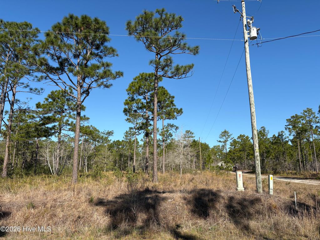 Photo of 660 Virginia Drive, Boiling Spring Lakes, NC 28461 (MLS # 100561330)