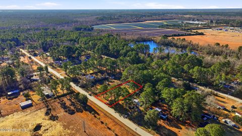 Tiny photo for 954 Arvida Spur Road, Rocky Point, NC 28457 (MLS # 100554734)