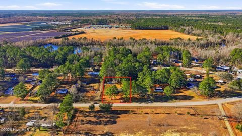 Tiny photo for 954 Arvida Spur Road, Rocky Point, NC 28457 (MLS # 100554734)