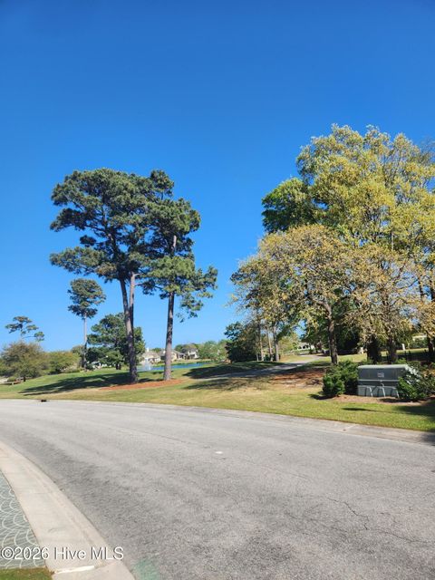 Photo of 723 Arboretum Drive, Wilmington, NC 28405 (MLS # 100565503)