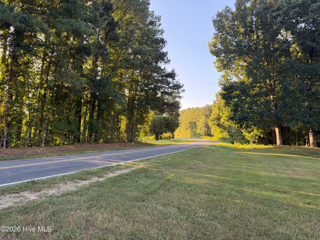 Photo of 182 Beamon Hunt Road, Warrenton, NC 27589 (MLS # 100603776)