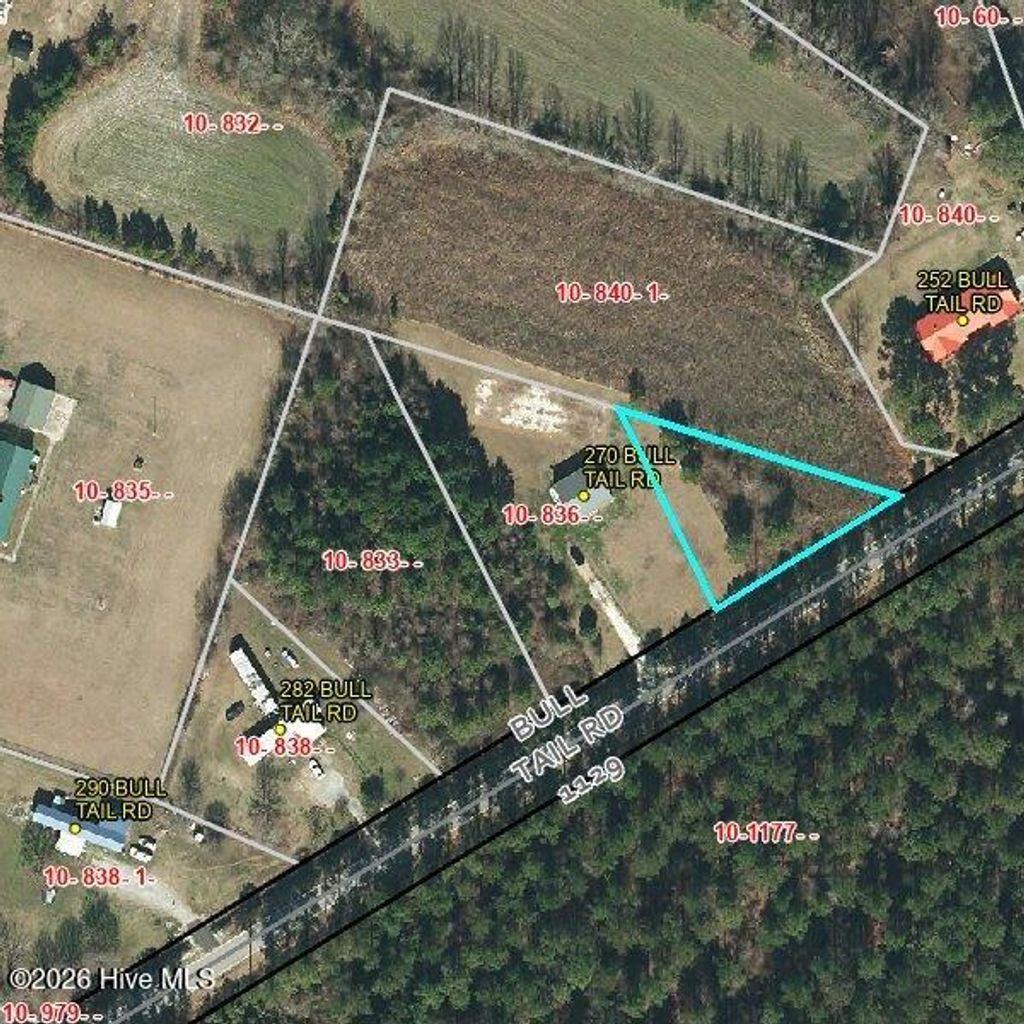 Photo of 0 Bull Tail Road, Wallace, NC 28466 (MLS # 100568956)