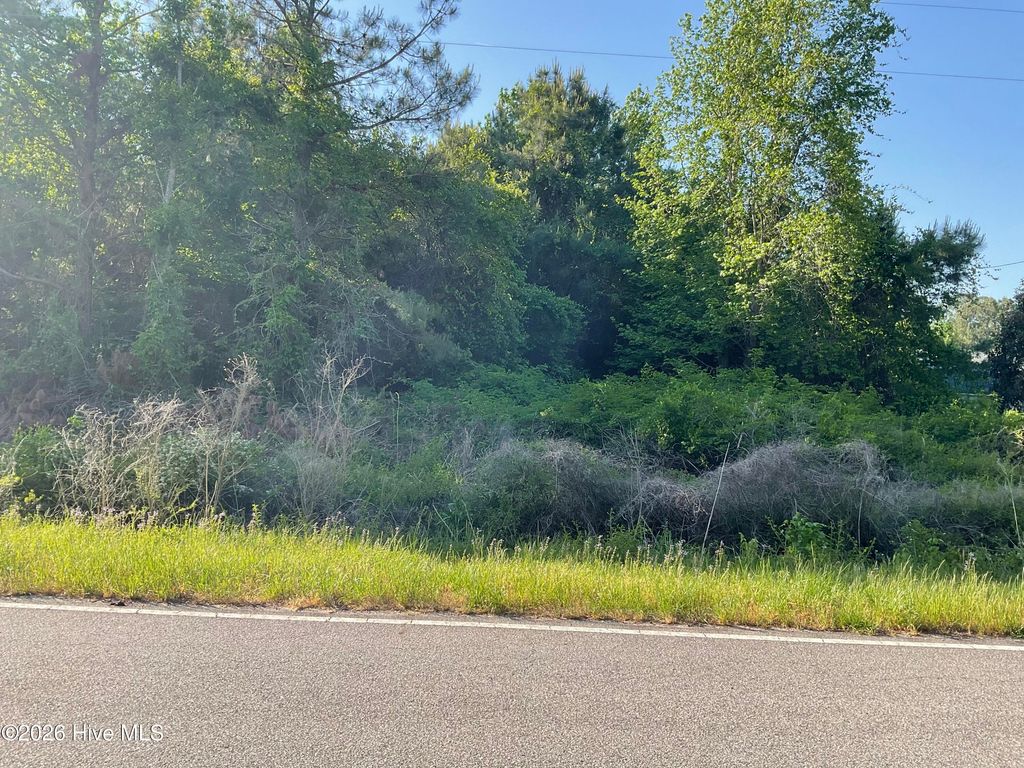 Photo of 0 Bull Tail Road, Wallace, NC 28466 (MLS # 100568956)