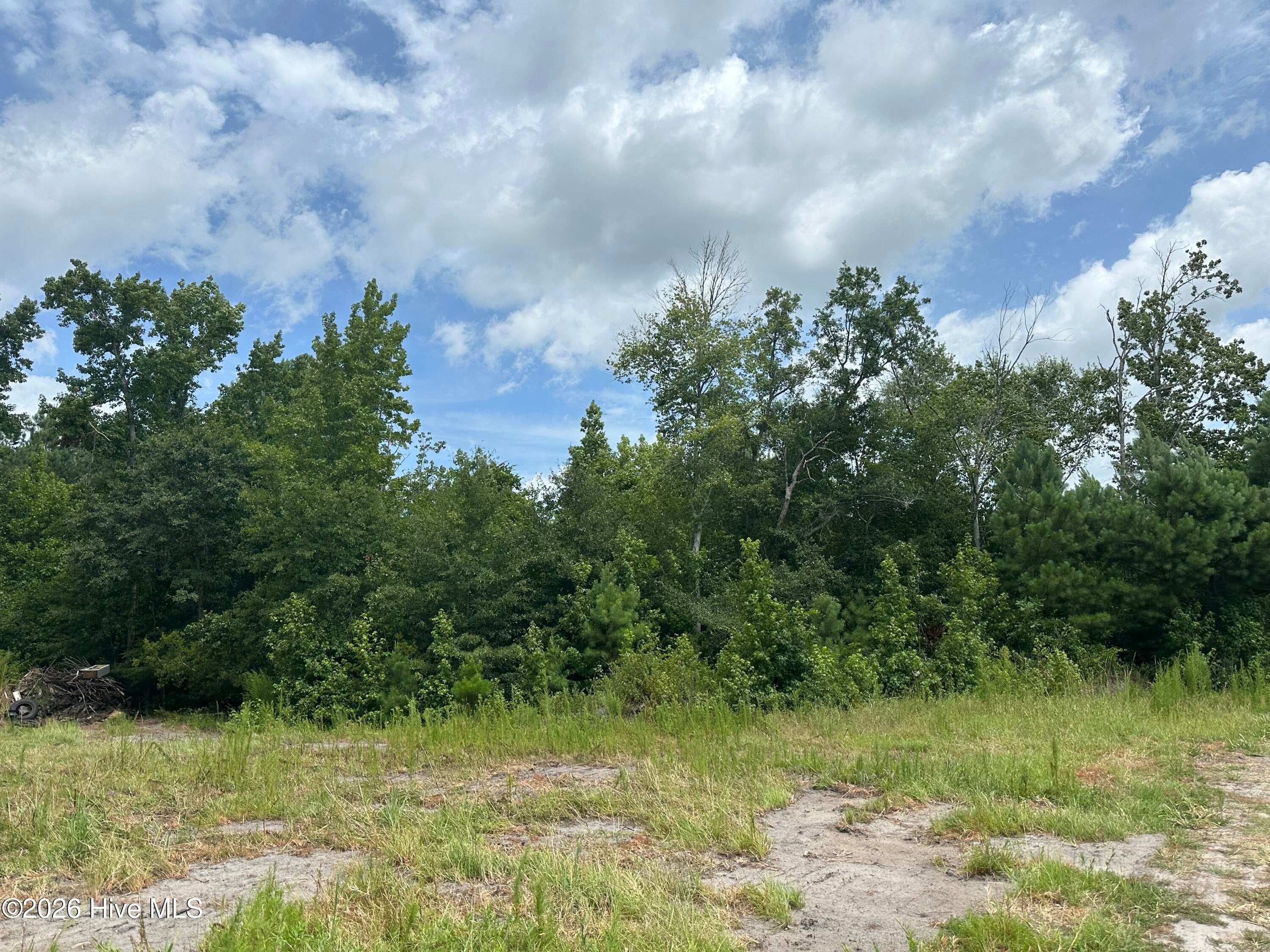 Near 99 Andrews Lake Drive, Tabor City, NC, 28463