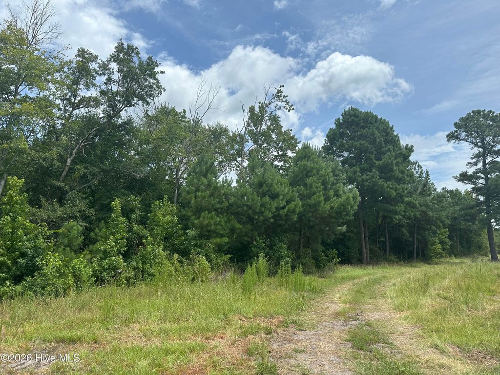 Photo of Near 99 Andrews Lake Drive, Tabor City, NC 28463 (MLS # 100591504)