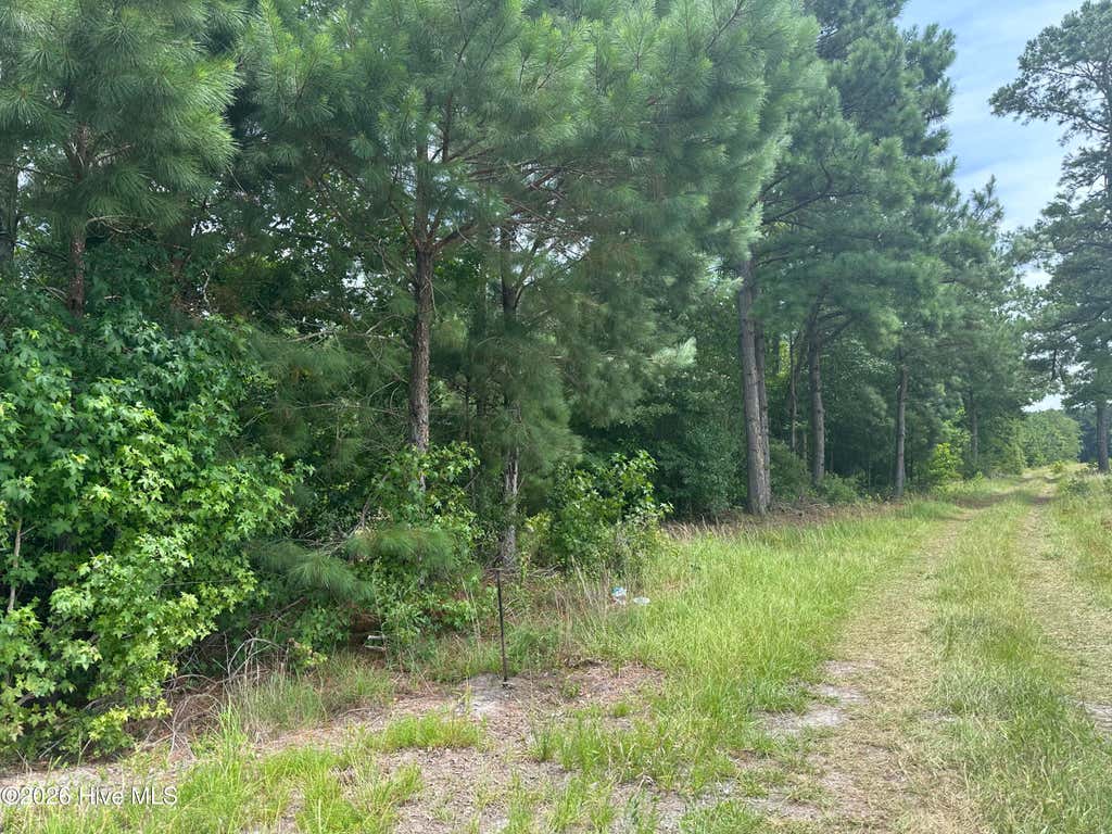 Photo of Near 99 Andrews Lake Drive, Tabor City, NC 28463 (MLS # 100591504)