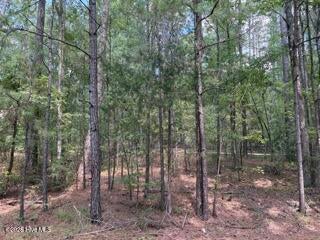 Photo of 136 Cooper Drive, McCormick, SC 29835 (MLS # 100600667)