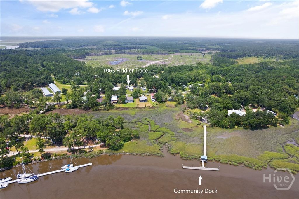 Photo of 1065 Fiddler Trace NE, Townsend, GA 31331 (MLS # SA347855)