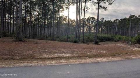 Tiny photo for 216 Alderman Landing Road, Holly Ridge, NC 28445 (MLS # 100543218)