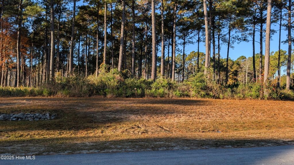 Photo of 216 Alderman Landing Road, Holly Ridge, NC 28445 (MLS # 100543218)