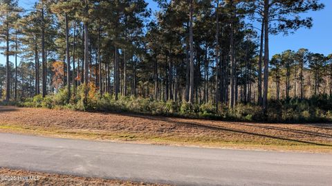 Photo of 216 Alderman Landing Road, Holly Ridge, NC 28445 (MLS # 100543218)
