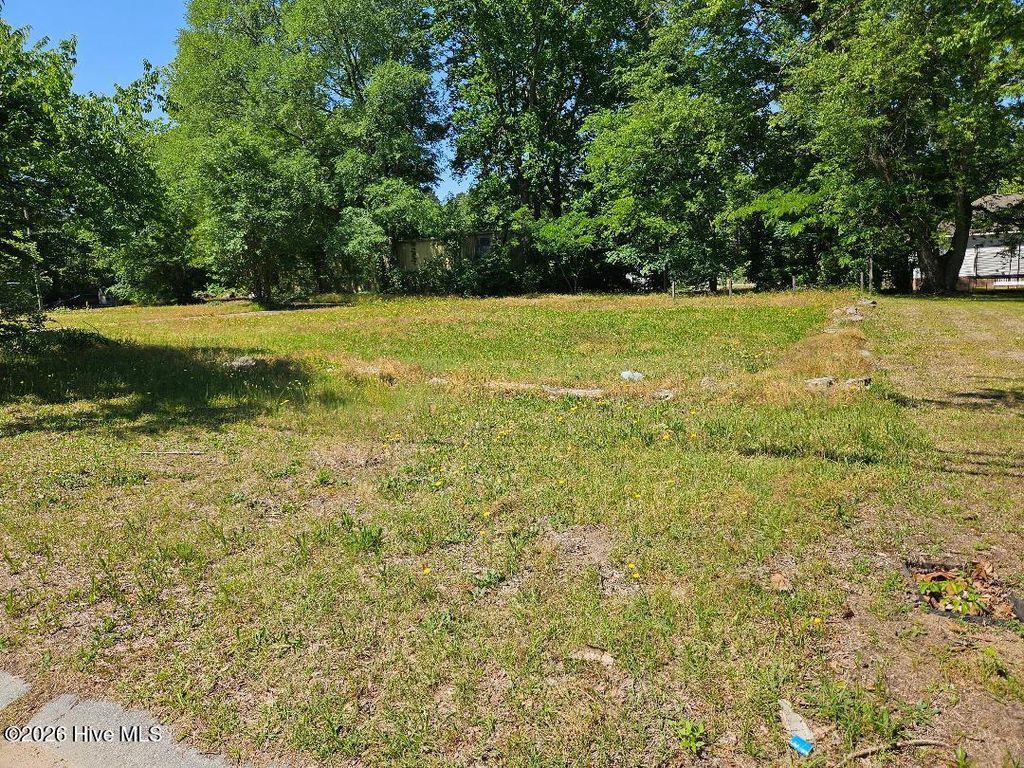 Photo of 308 Howard Street, Princeville, NC 27886 (MLS # 100571981)