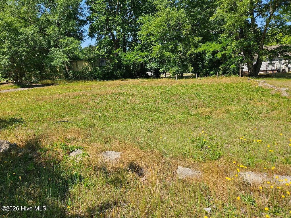 Photo of 308 Howard Street, Princeville, NC 27886 (MLS # 100571981)