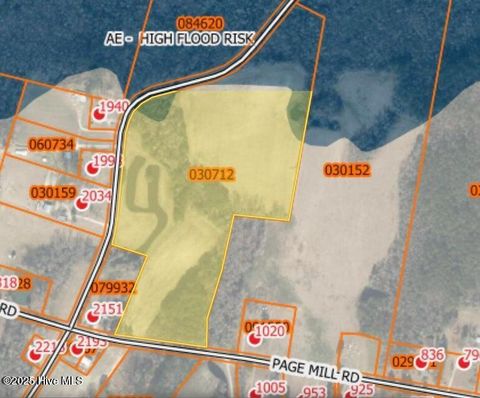 Vacant Land For Sale - 2045 Dolph Lewis Road<br/> Cerro Gordo, NC 28430