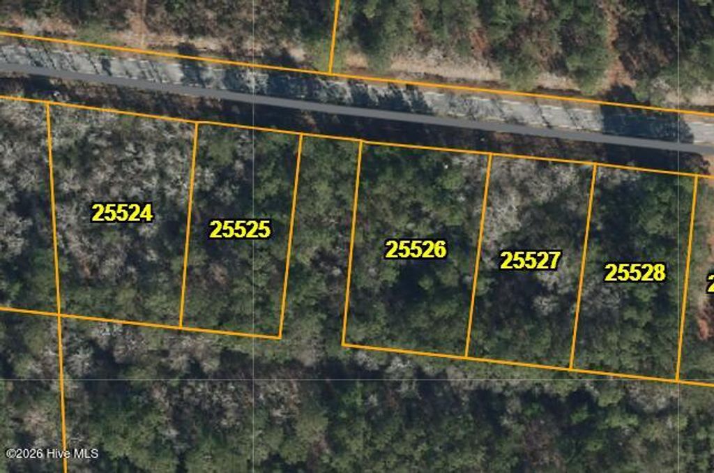 Photo of 4 Lightwood Knot Road, Deep Run, NC 28525 (MLS # 100555731)