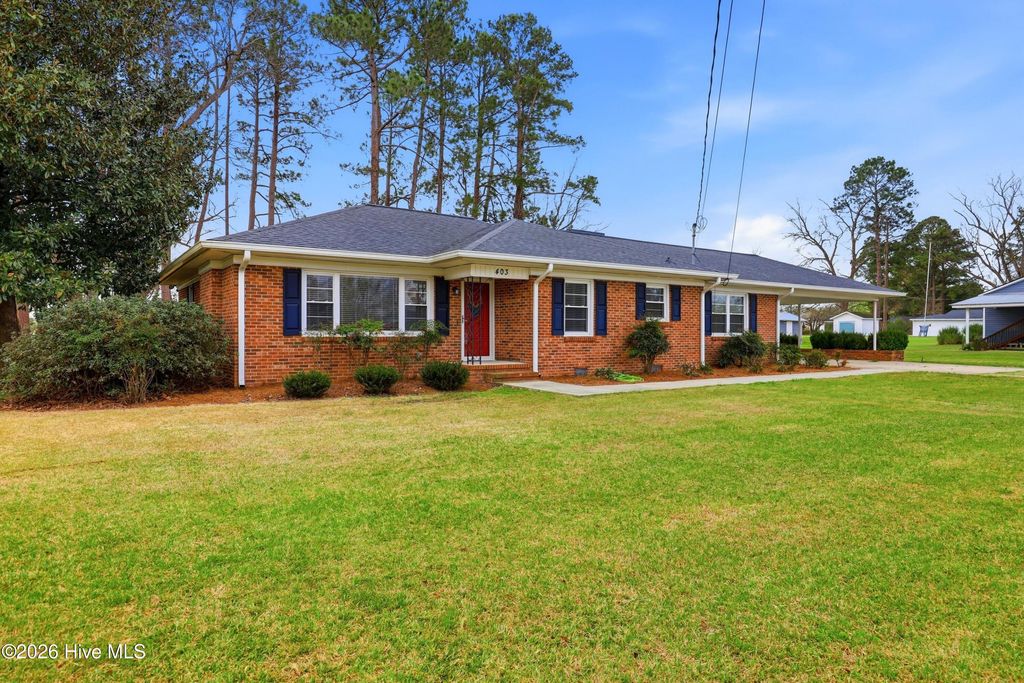 Photo of 403 Smith Chapel Road, Mount Olive, NC 28365 (MLS # 100560558)