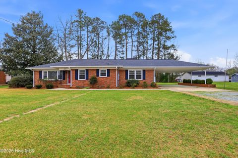 Photo of 403 Smith Chapel Road, Mount Olive, NC 28365 (MLS # 100560558)