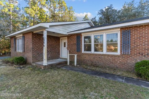Tiny photo for 566 Palmer Drive, Southport, NC 28461 (MLS # 100545150)
