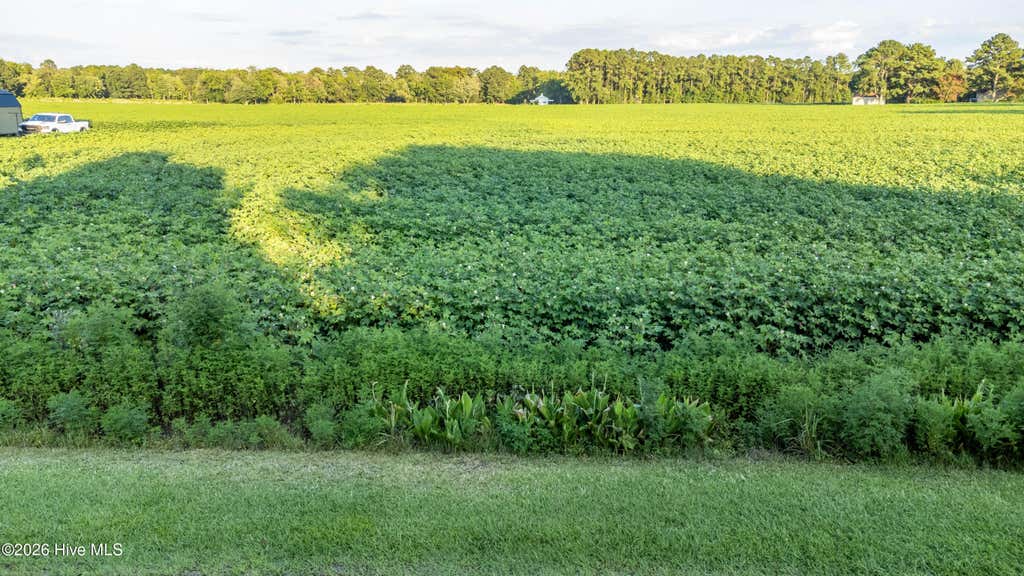 Photo of Tbd Whitehat Road, Hertford, NC 27944 (MLS # 100593199)
