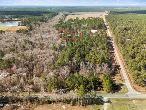 Tiny photo for 5 Peach Court, Burgaw, NC 28425 (MLS # 100568970)