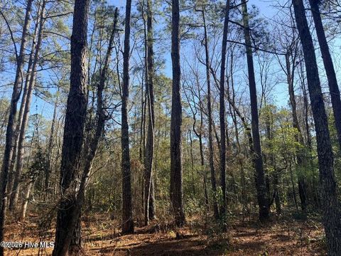 Tiny photo for 5 Peach Court, Burgaw, NC 28425 (MLS # 100568970)