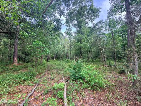 Tiny photo for 5 Peach Court, Burgaw, NC 28425 (MLS # 100568970)