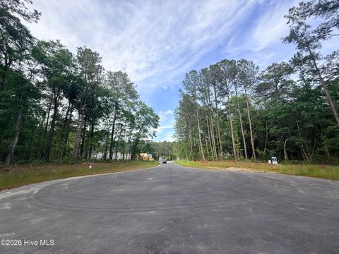 Tiny photo for 5 Peach Court, Burgaw, NC 28425 (MLS # 100568970)