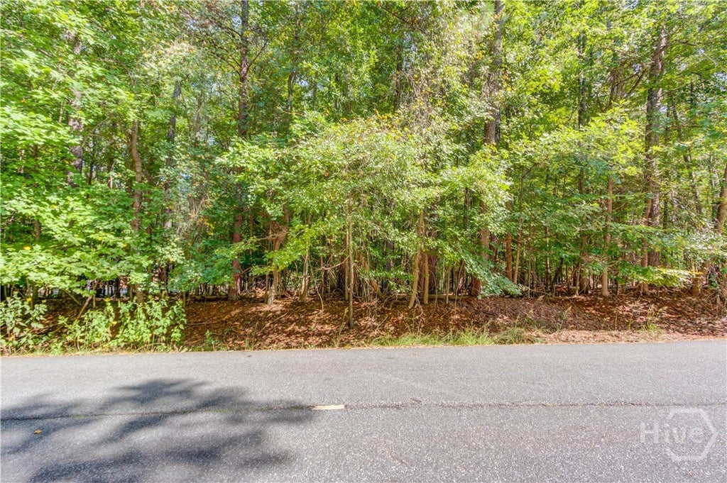 Photo of 211 Buck Trail, Hoschton, GA 30548 (MLS # CL364423)