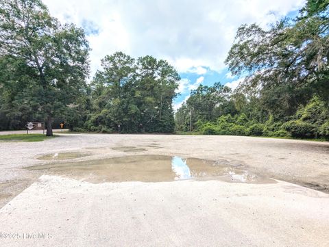 Tiny photo for 116 Branch Drive, Burgaw, NC 28425 (MLS # 100553472)