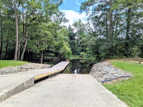 Tiny photo for 116 Branch Drive, Burgaw, NC 28425 (MLS # 100553472)