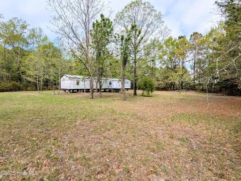 Tiny photo for 116 Branch Drive, Burgaw, NC 28425 (MLS # 100553472)