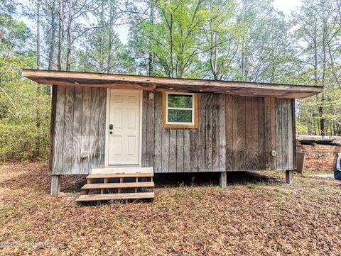 Tiny photo for 116 Branch Drive, Burgaw, NC 28425 (MLS # 100553472)