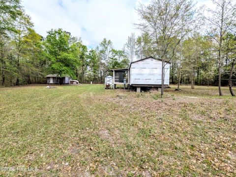 Tiny photo for 116 Branch Drive, Burgaw, NC 28425 (MLS # 100553472)