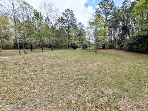 Tiny photo for 116 Branch Drive, Burgaw, NC 28425 (MLS # 100553472)