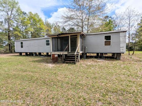Tiny photo for 116 Branch Drive, Burgaw, NC 28425 (MLS # 100553472)