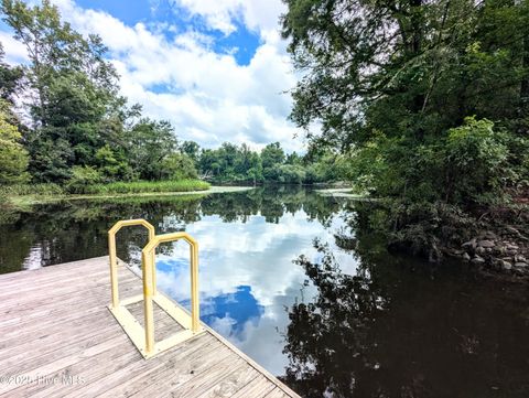 Tiny photo for 116 Branch Drive, Burgaw, NC 28425 (MLS # 100553472)