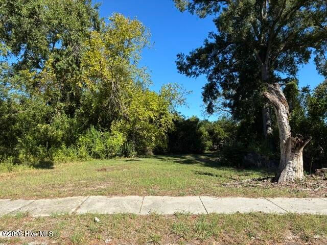Photo of 1919 Steiner Avenue, Augusta, GA 30901 (MLS # 100606423)