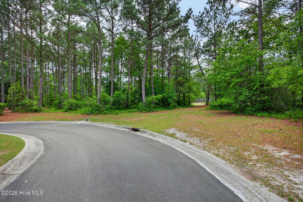 Photo of 188 Cypress Point, Wallace, NC 28466 (MLS # 100570434)