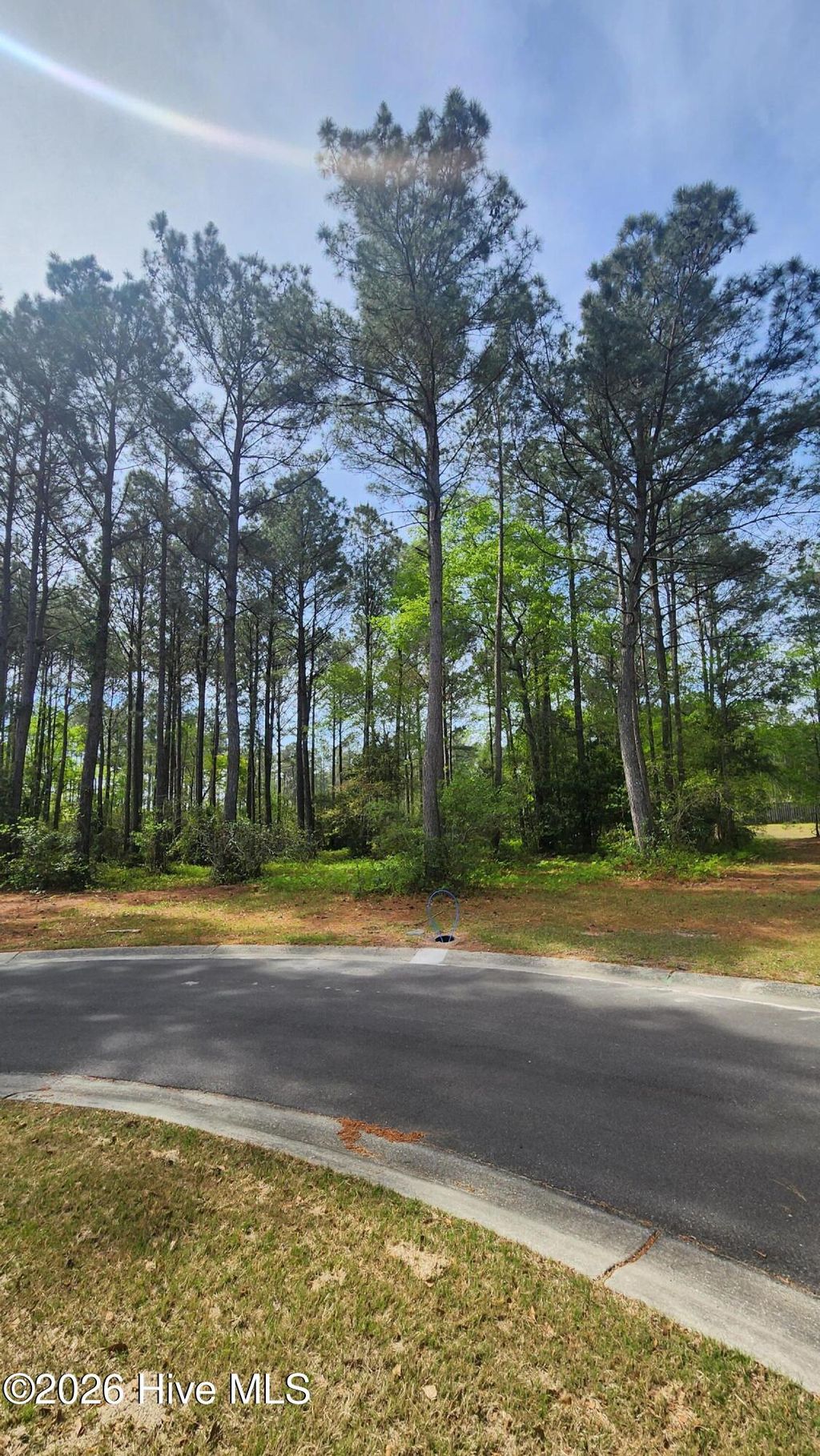 Photo of 188 Cypress Point, Wallace, NC 28466 (MLS # 100570434)