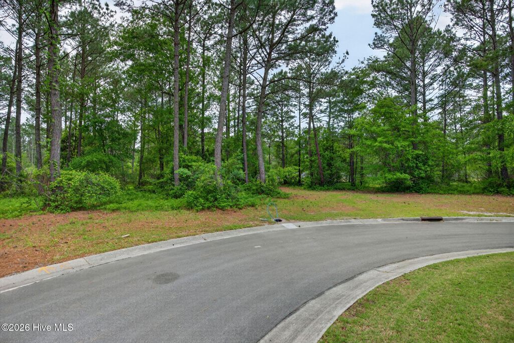 Photo of 188 Cypress Point, Wallace, NC 28466 (MLS # 100570434)