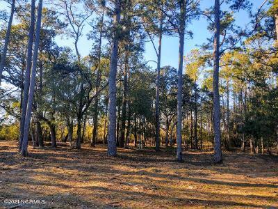 Photo of 4002 Barnes Bluff Drive SE, Southport, NC 28461 (MLS # 100582357)