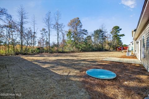 Tiny photo for 9579 Lily Pond Court NE, Leland, NC 28451 (MLS # 100546683)