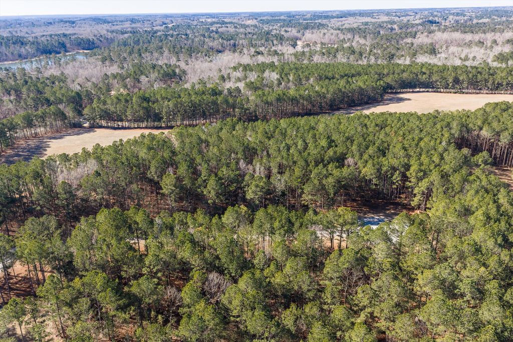 Photo of 1020 Fleming Lake Court, Lincolnton, GA 30817 (MLS # 551588)