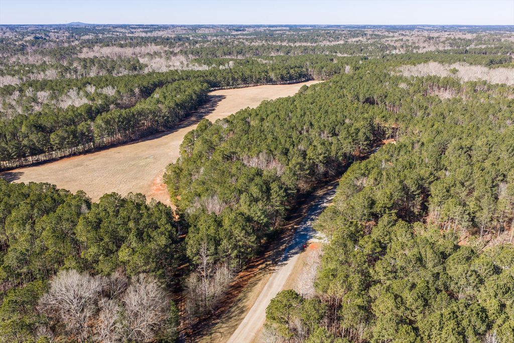 Photo of 1020 Fleming Lake Court, Lincolnton, GA 30817 (MLS # 551588)